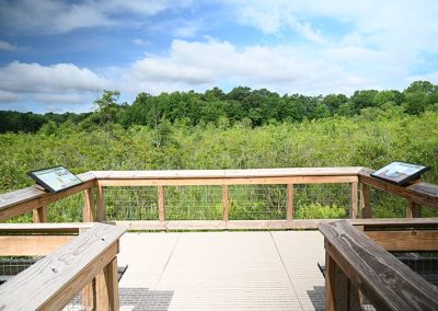 Lydick Bog Observation Deck