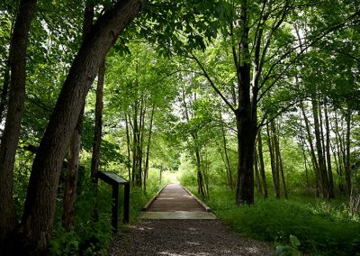 Lydick Bog Raised Trail